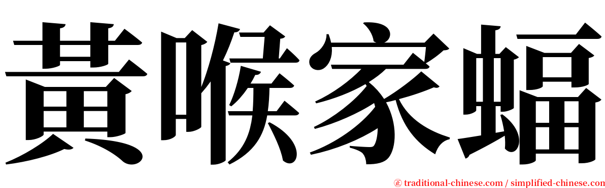 黃喉家蝠 serif font