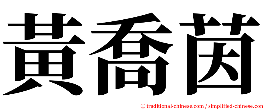 黃喬茵 serif font