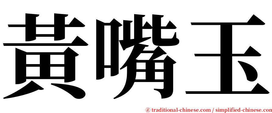 黃嘴玉 serif font