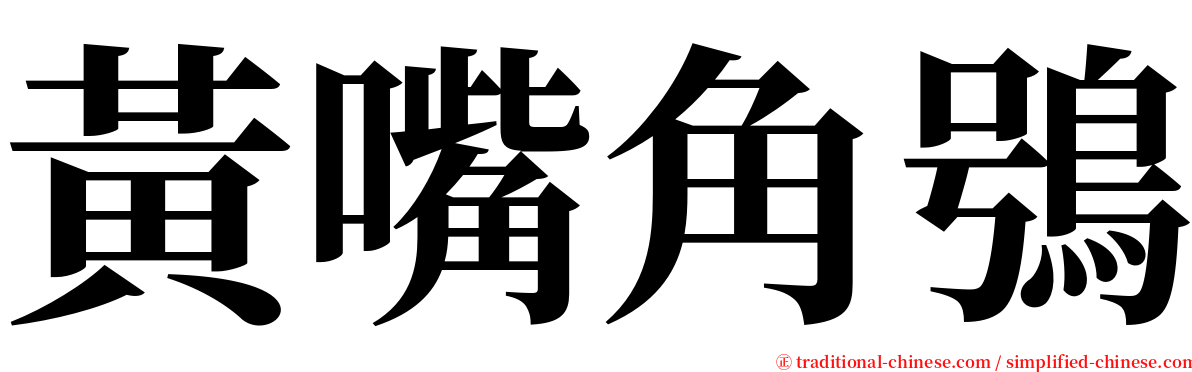 黃嘴角鴞 serif font