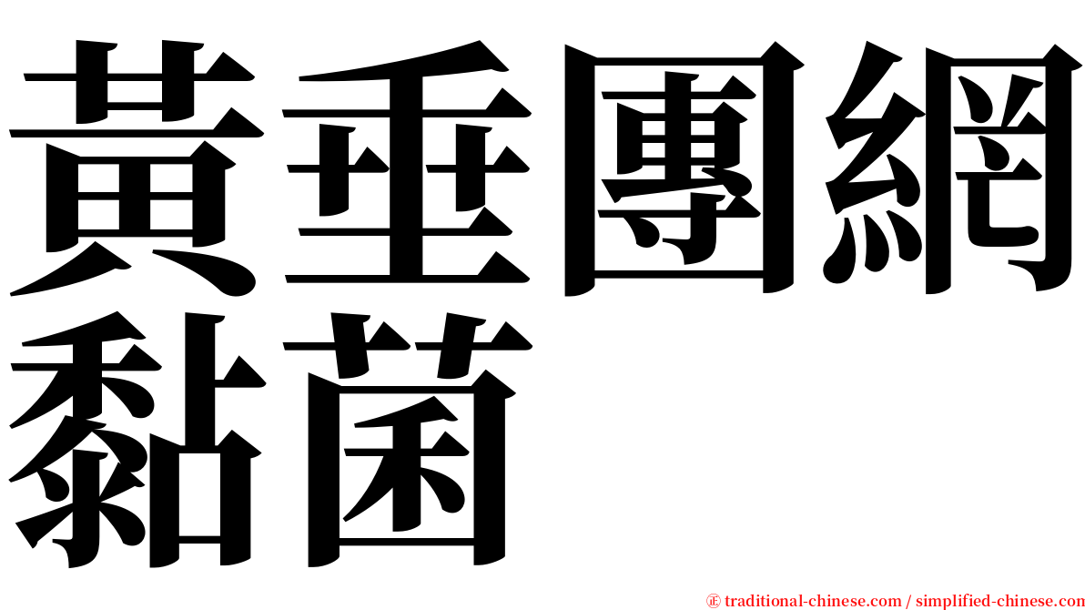 黃垂團網黏菌 serif font