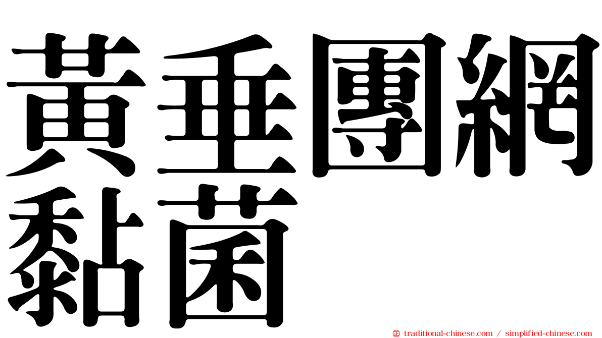 黃垂團網黏菌
