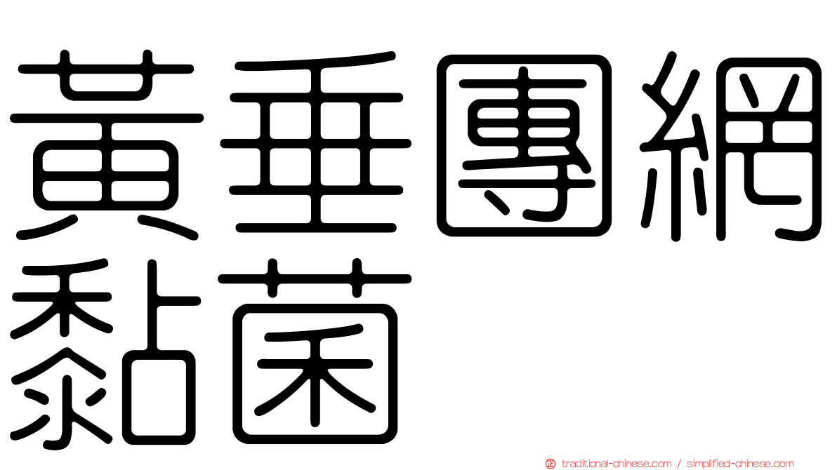 黃垂團網黏菌