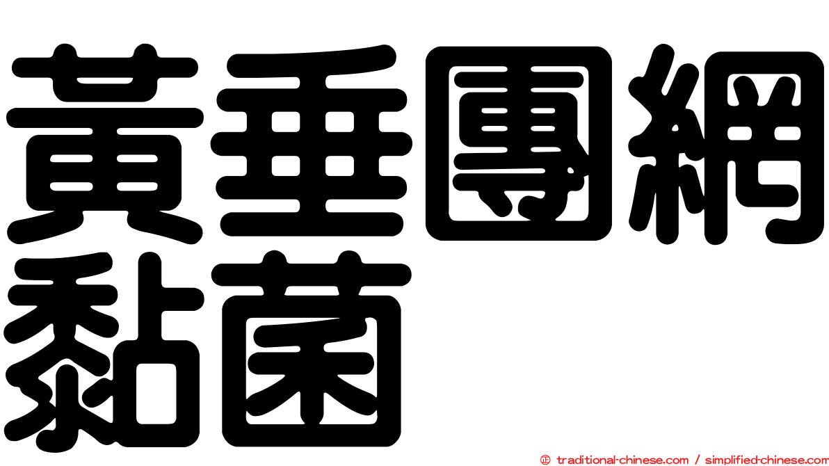 黃垂團網黏菌