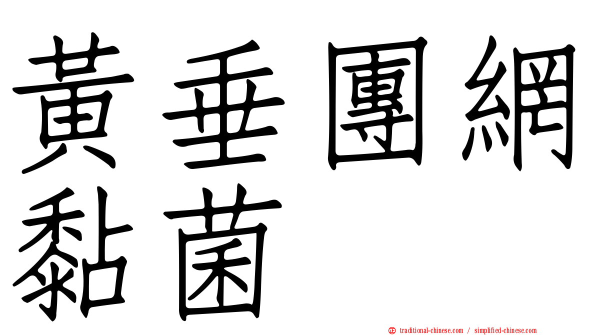 黃垂團網黏菌
