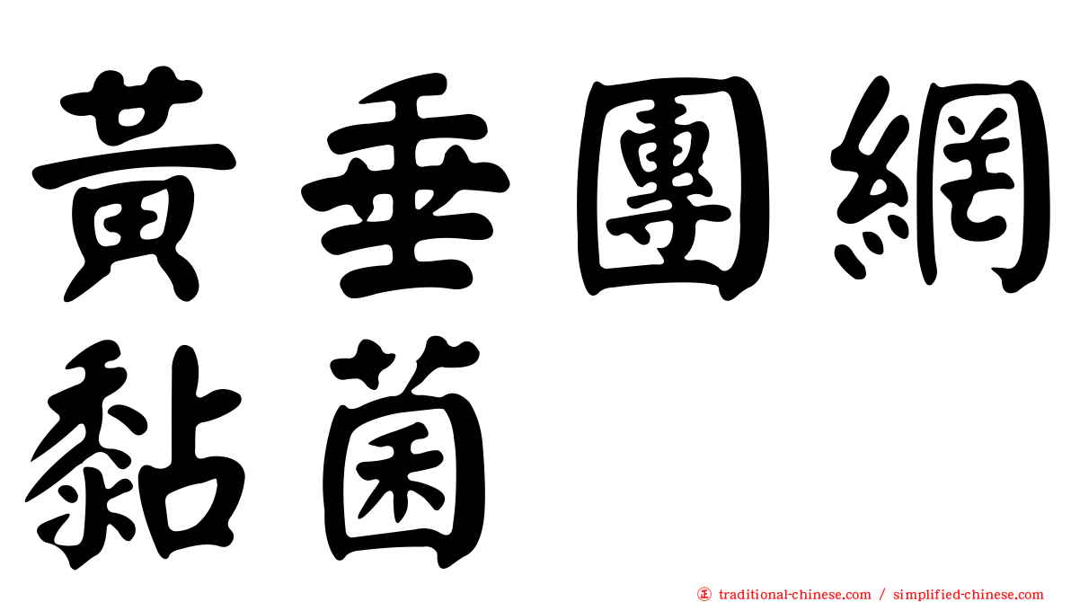 黃垂團網黏菌