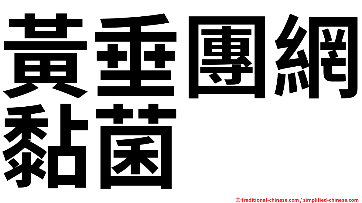 黃垂團網黏菌