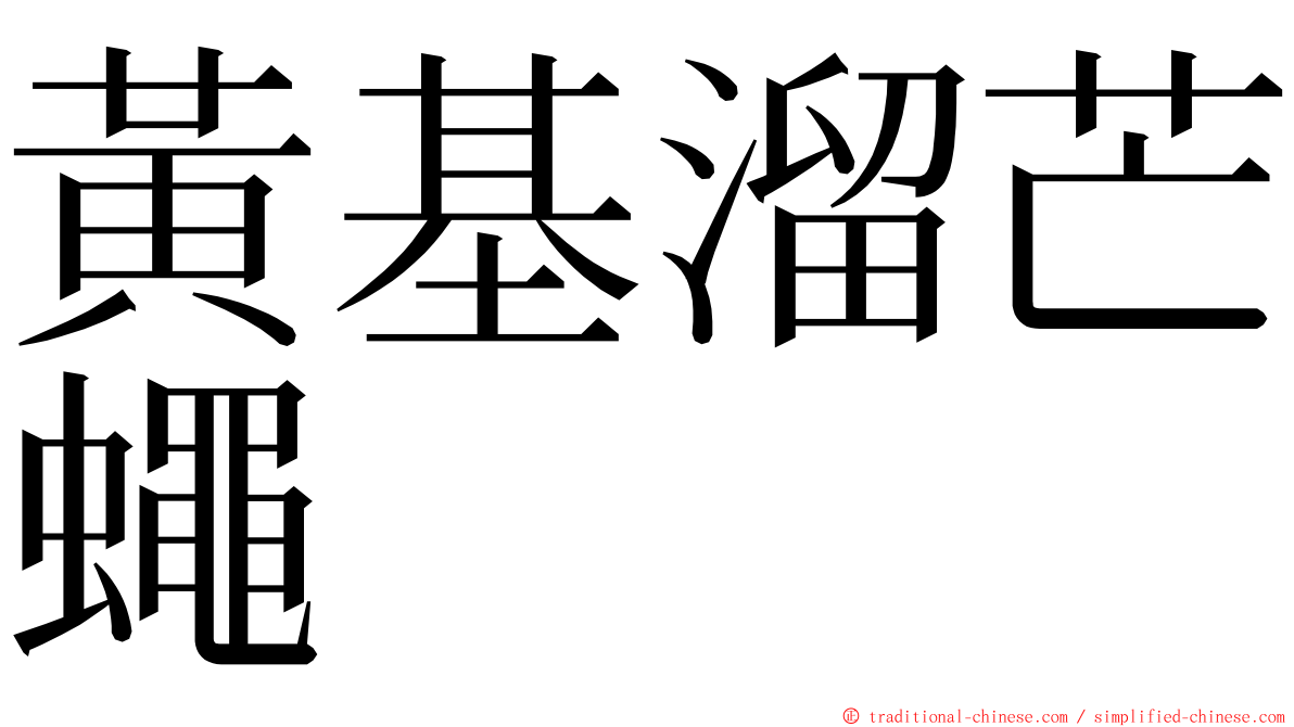 黃基溜芒蠅 ming font