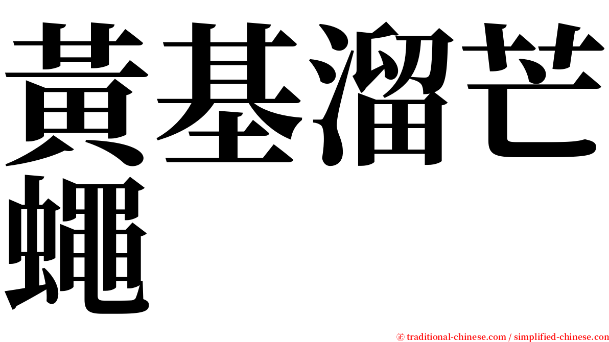 黃基溜芒蠅 serif font