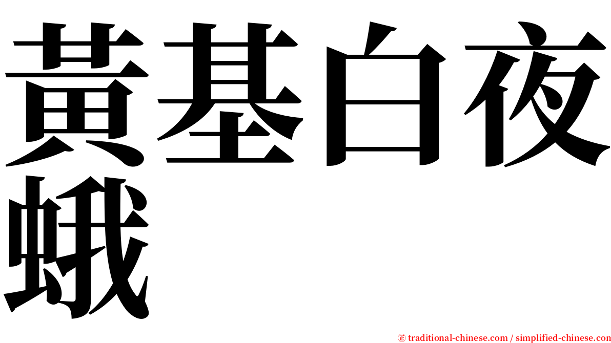 黃基白夜蛾 serif font