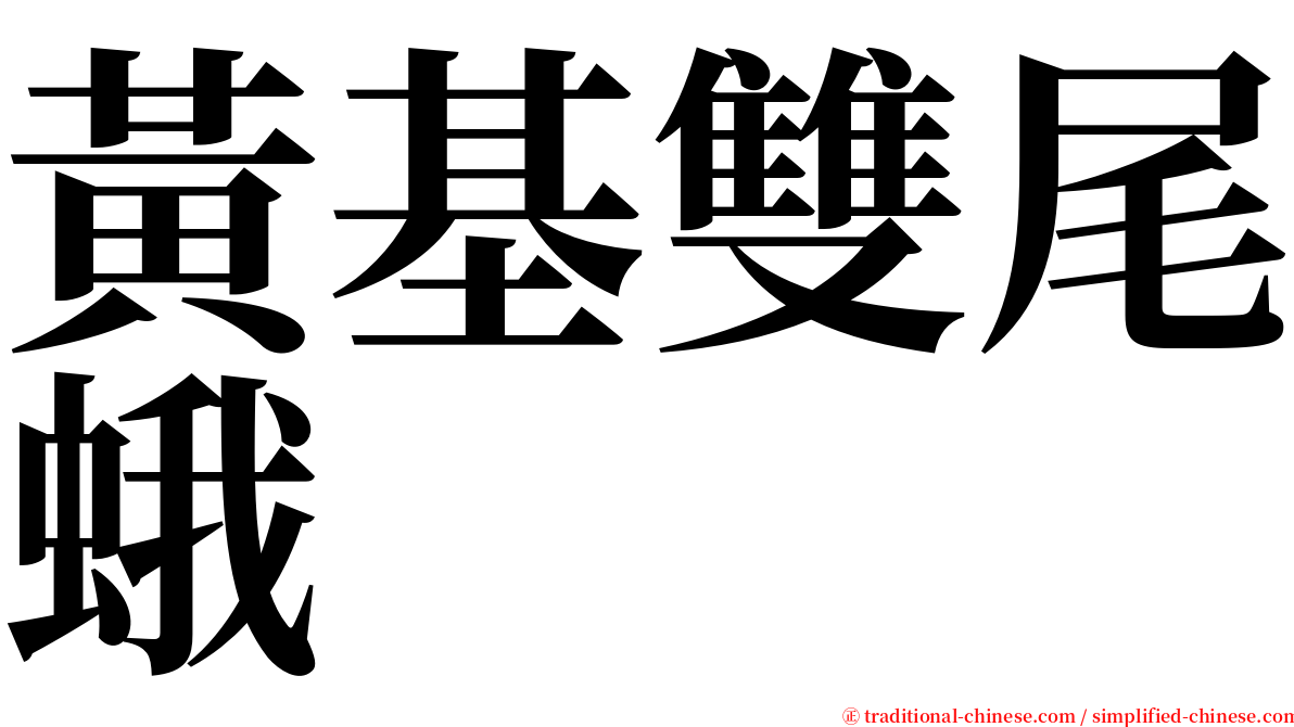 黃基雙尾蛾 serif font