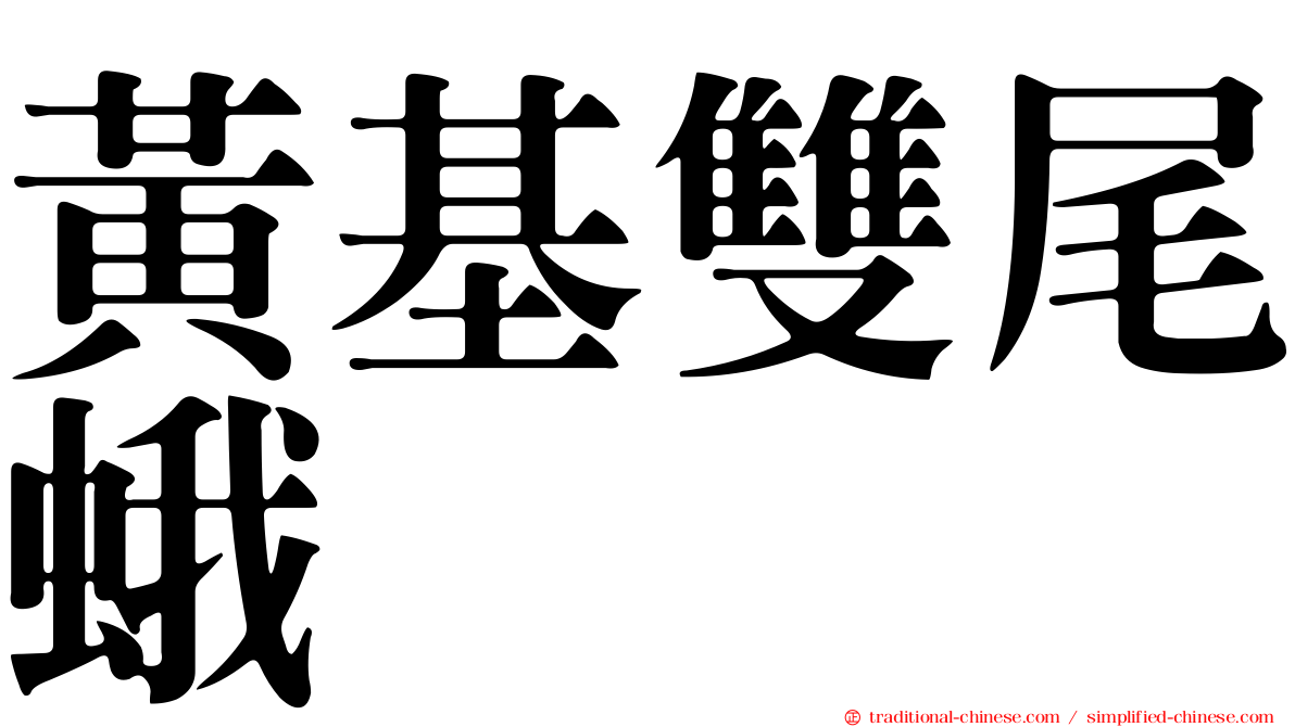 黃基雙尾蛾