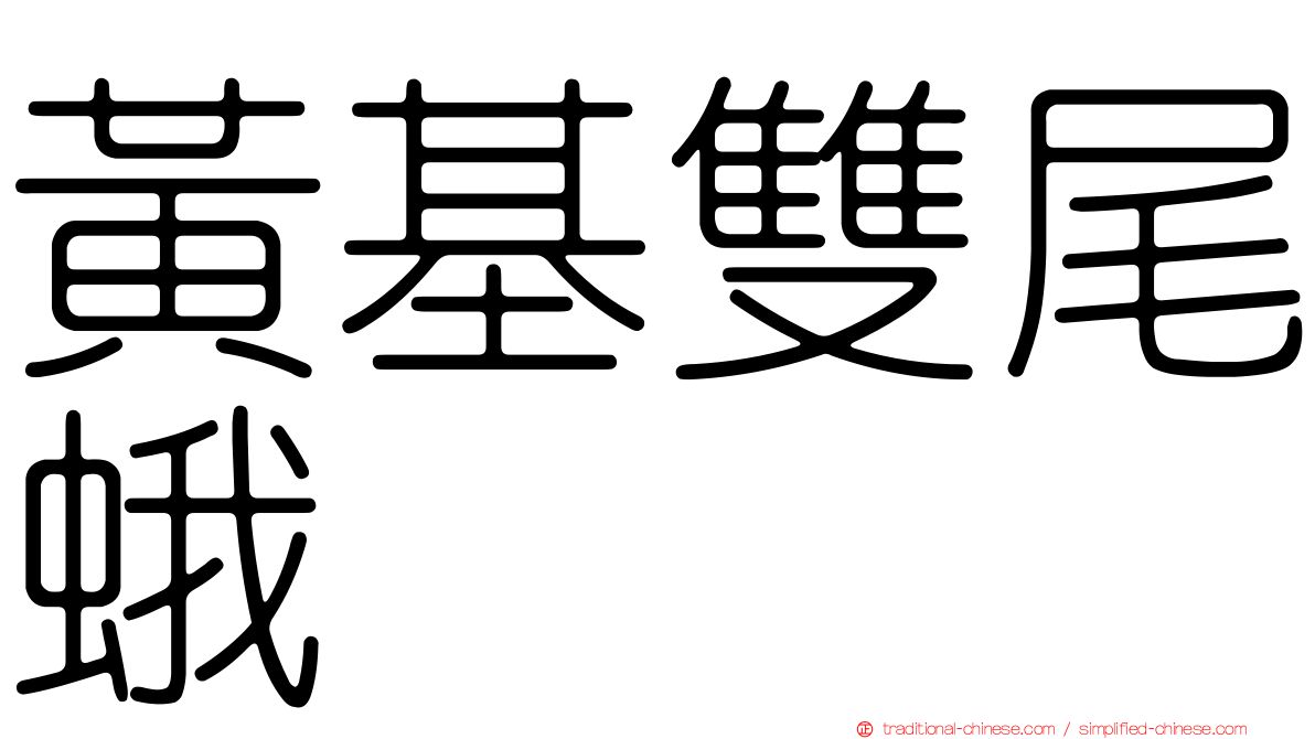 黃基雙尾蛾
