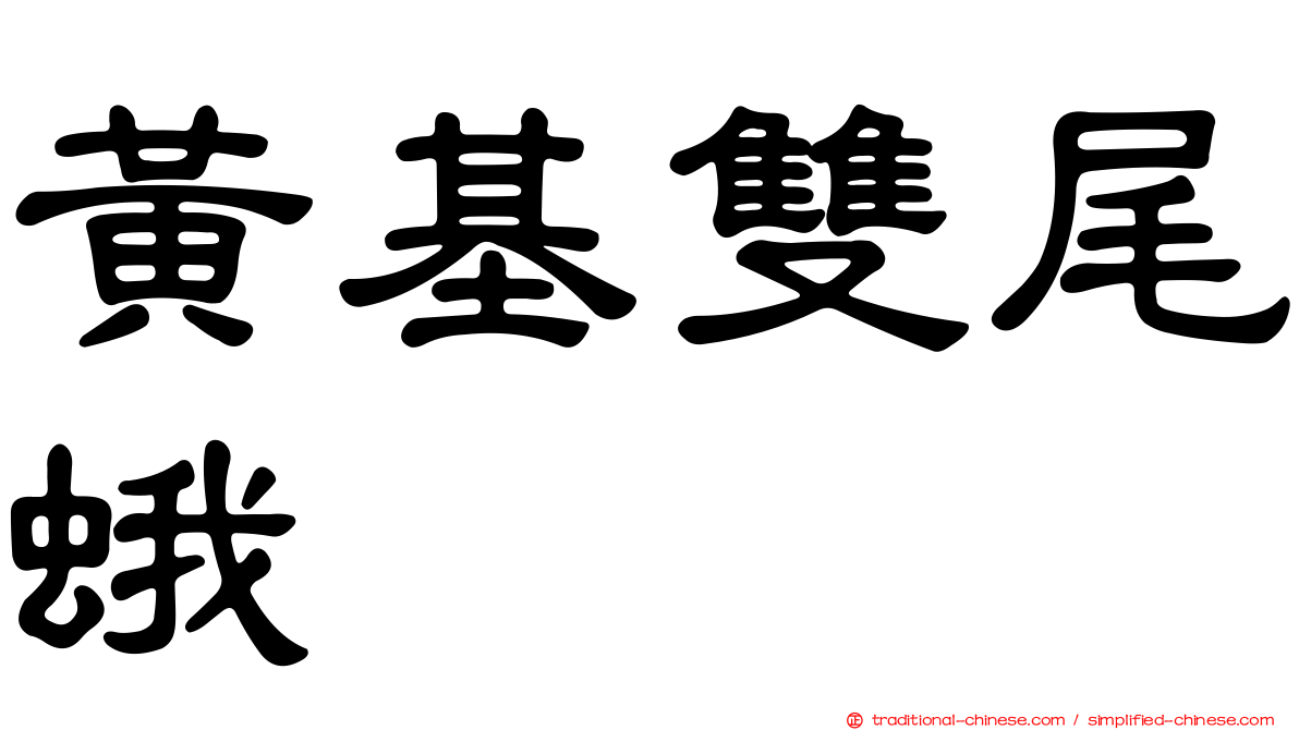 黃基雙尾蛾