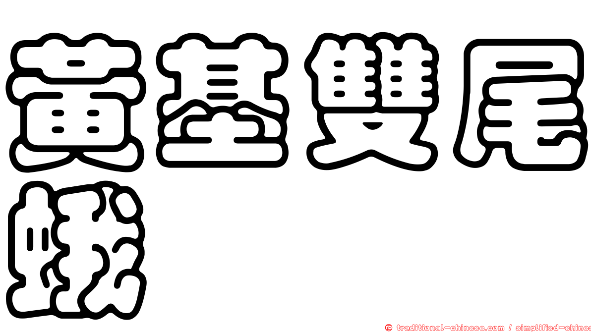 黃基雙尾蛾