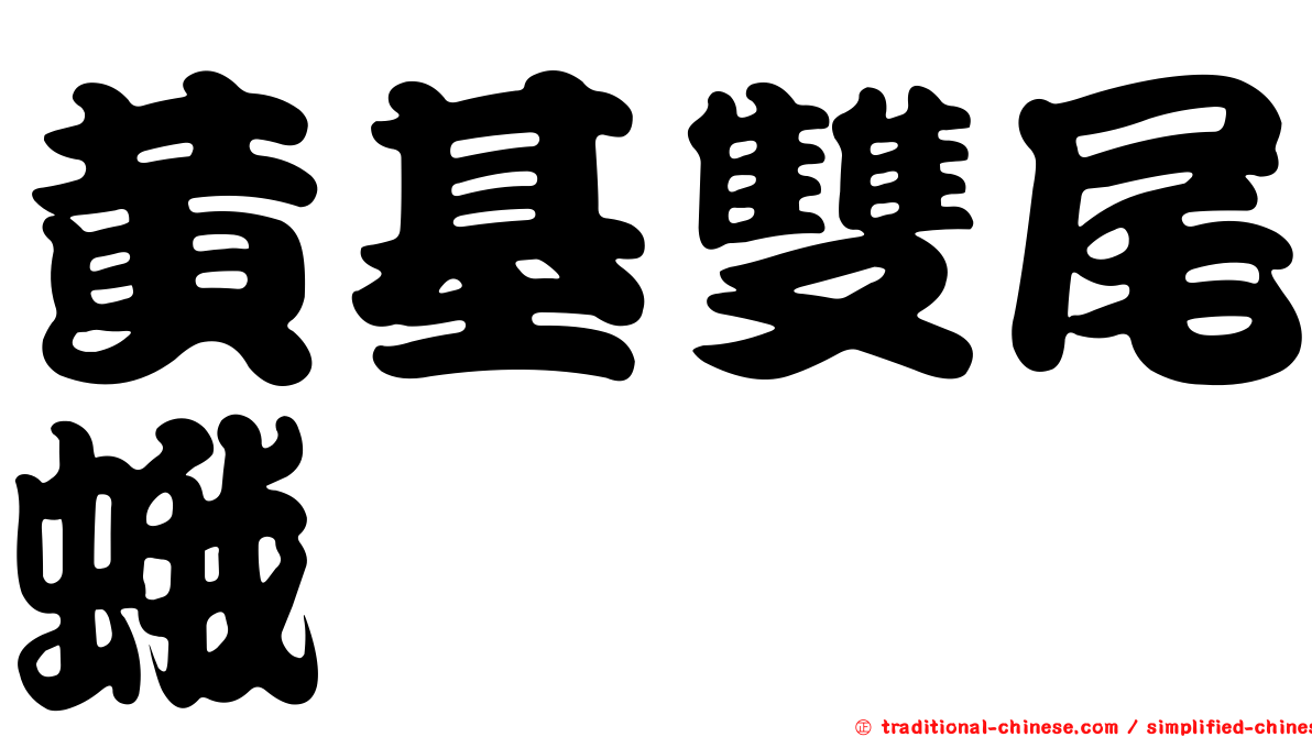黃基雙尾蛾