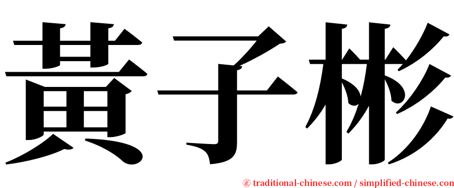 黃子彬 serif font