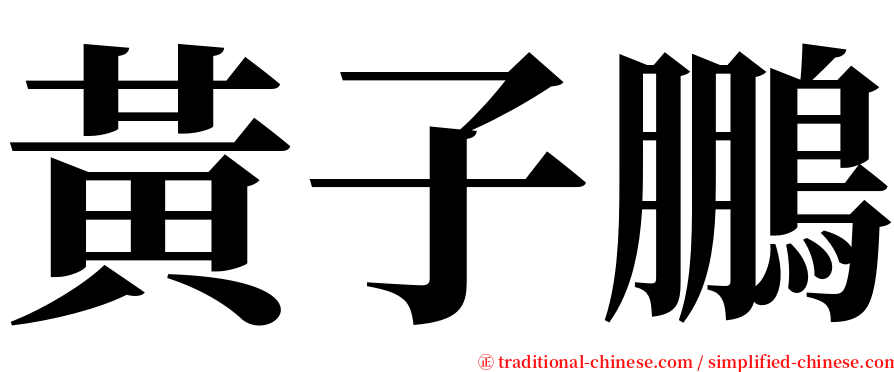 黃子鵬 serif font