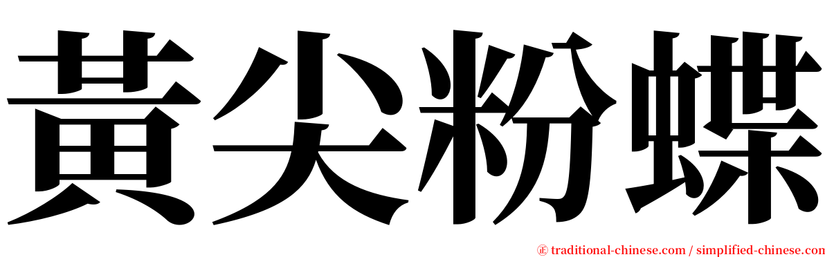 黃尖粉蝶 serif font