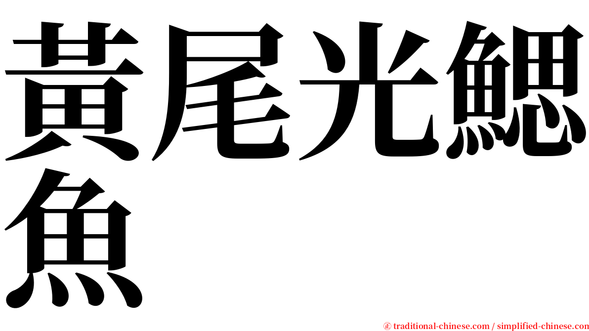 黃尾光鰓魚 serif font