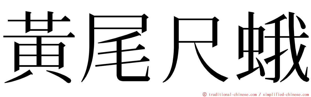 黃尾尺蛾 ming font