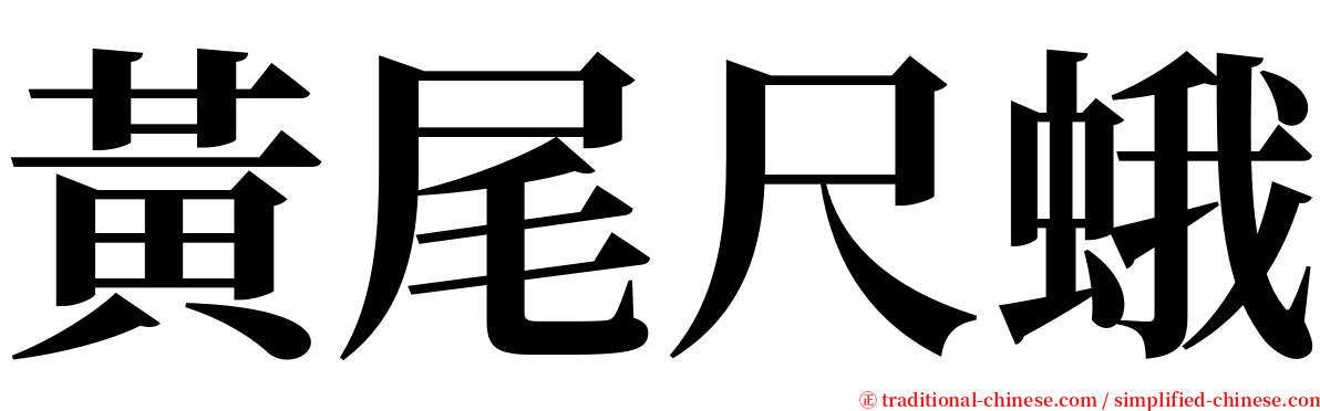 黃尾尺蛾 serif font