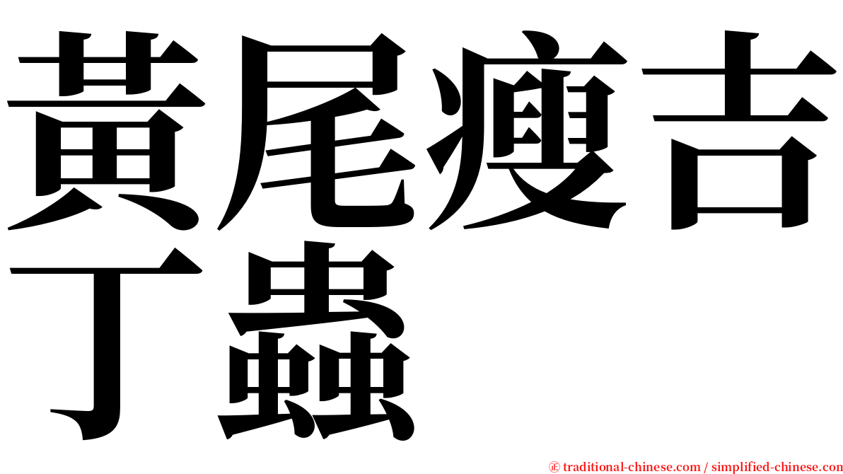 黃尾瘦吉丁蟲 serif font