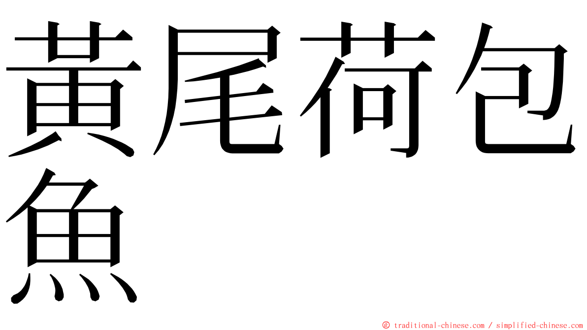 黃尾荷包魚 ming font