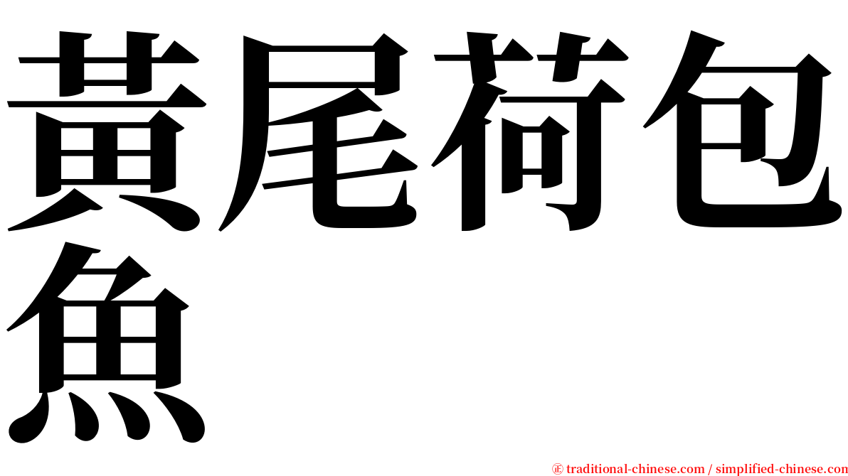 黃尾荷包魚 serif font