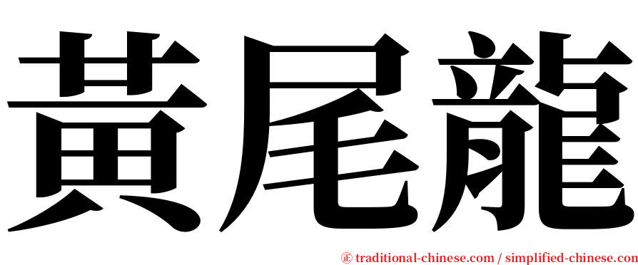 黃尾龍 serif font