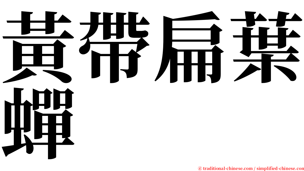 黃帶扁葉蟬 serif font