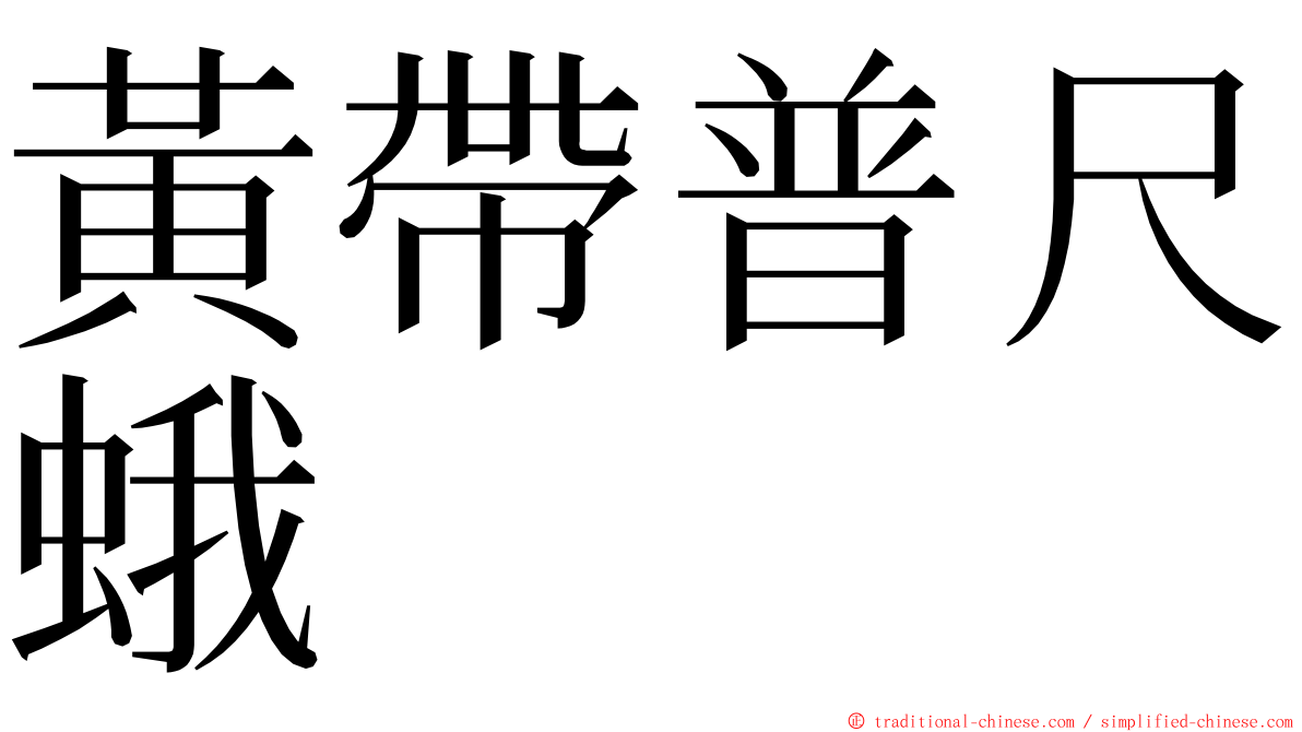 黃帶普尺蛾 ming font