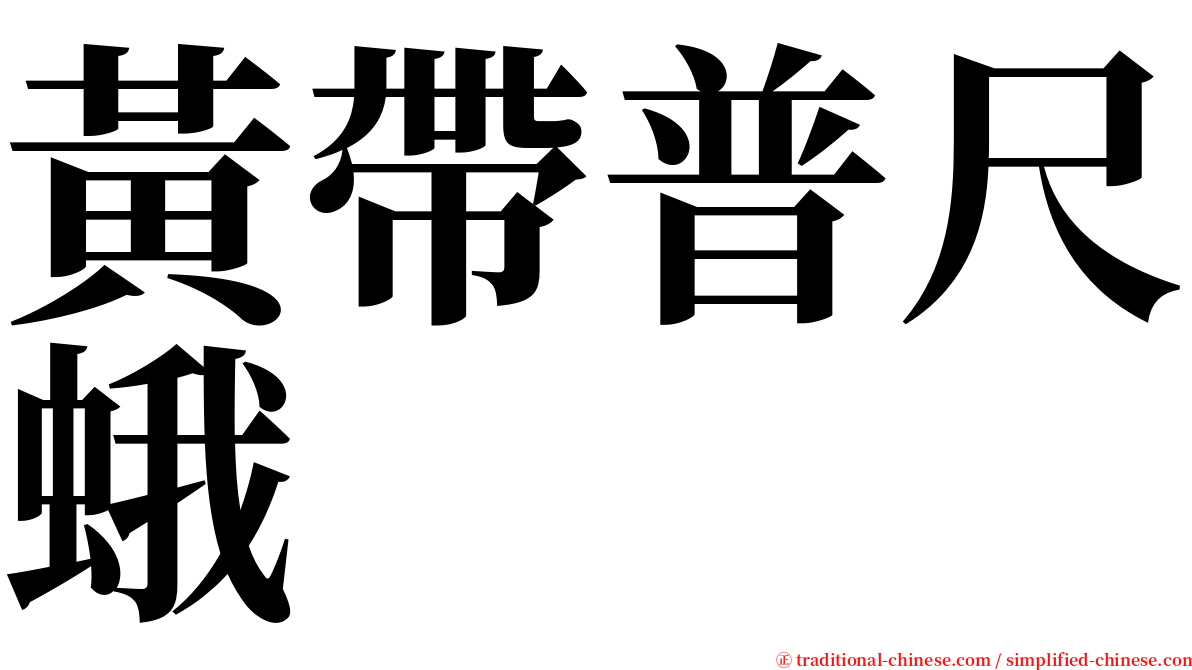 黃帶普尺蛾 serif font