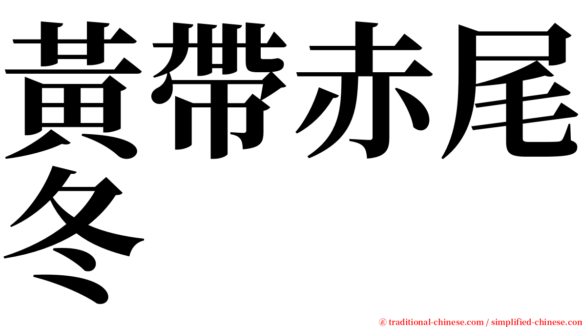 黃帶赤尾冬 serif font