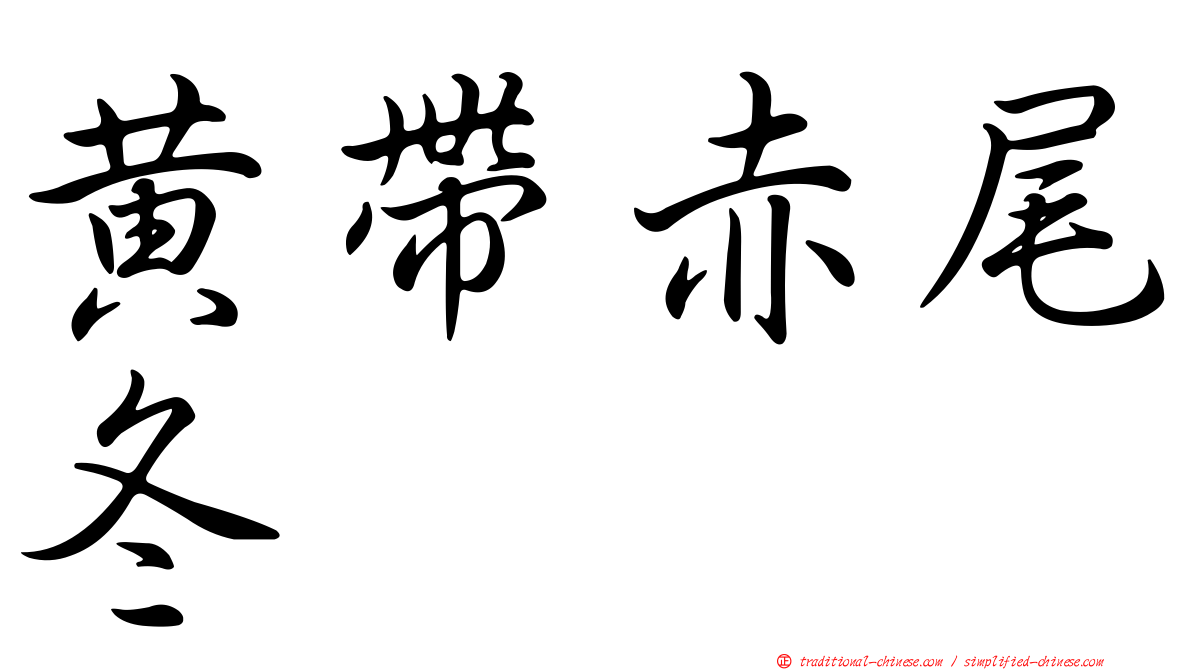 黃帶赤尾冬