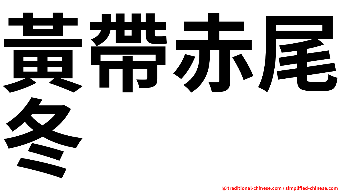 黃帶赤尾冬