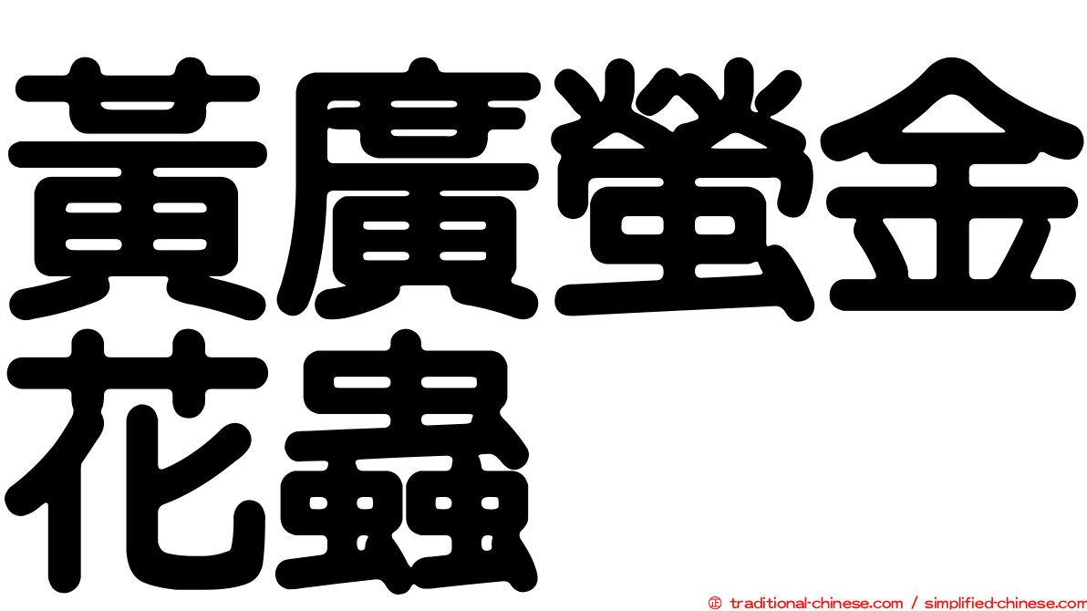 黃廣螢金花蟲