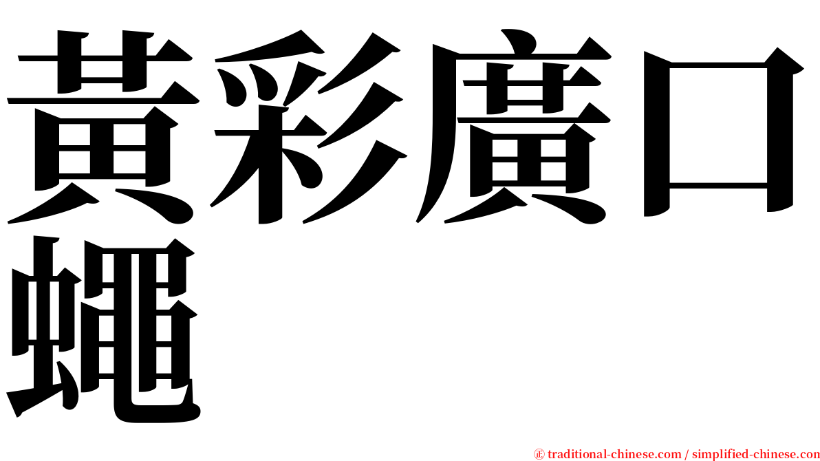 黃彩廣口蠅 serif font