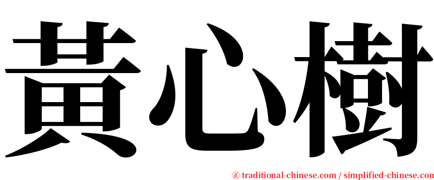 黃心樹 serif font