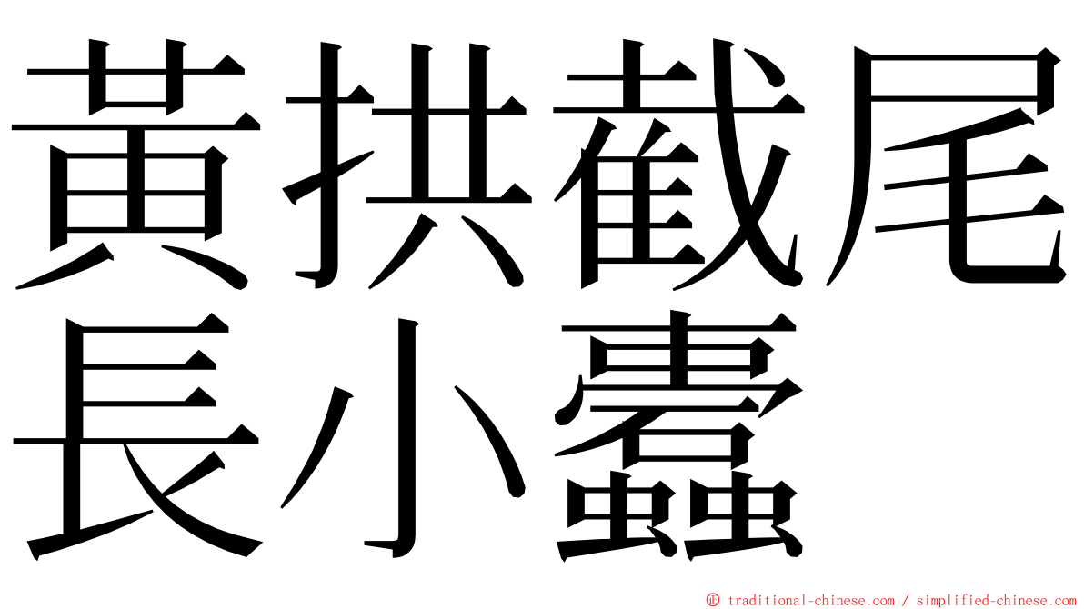 黃拱截尾長小蠹 ming font
