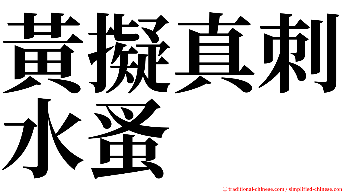 黃擬真刺水蚤 serif font