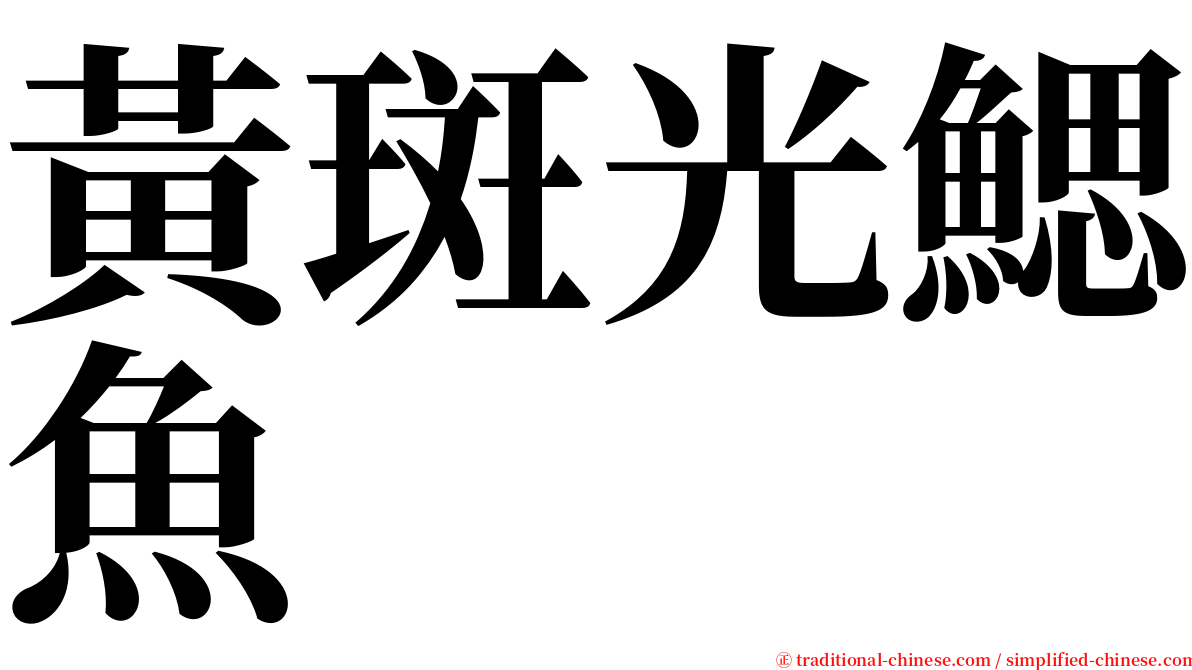黃斑光鰓魚 serif font