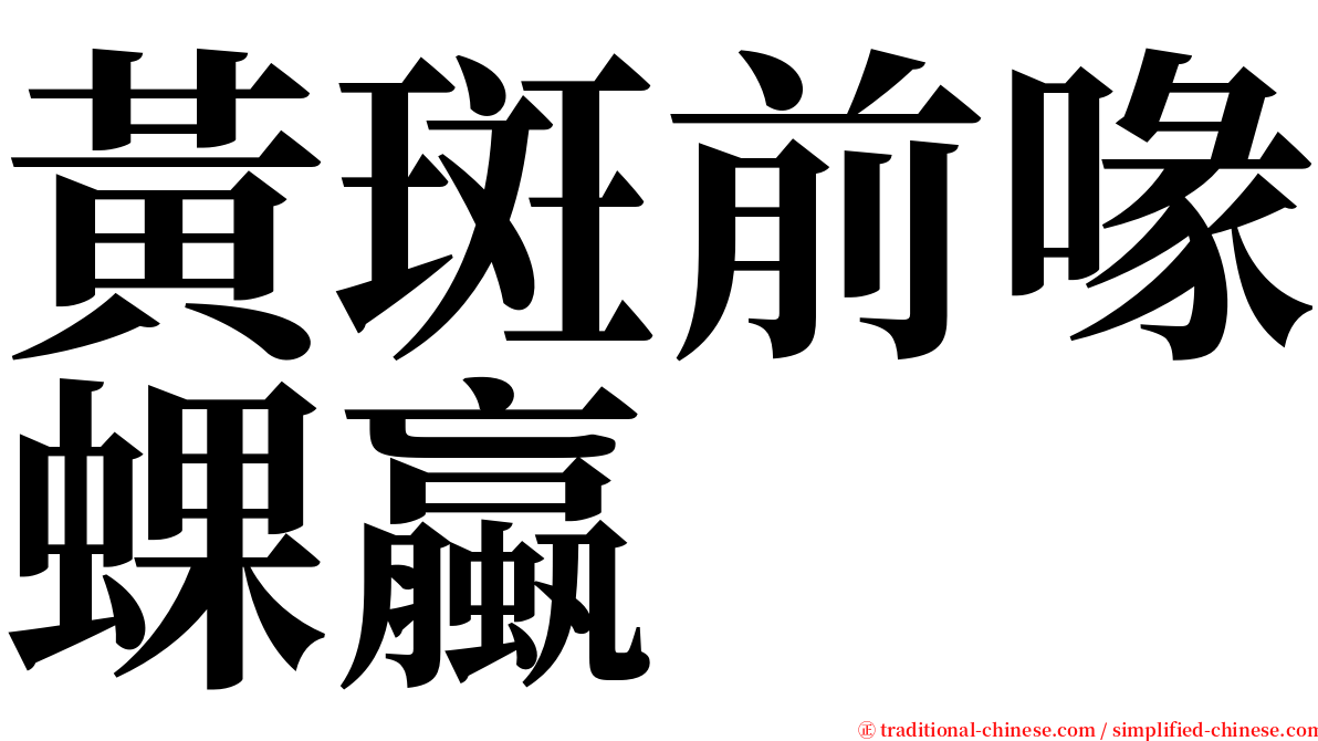 黃斑前喙蜾蠃 serif font