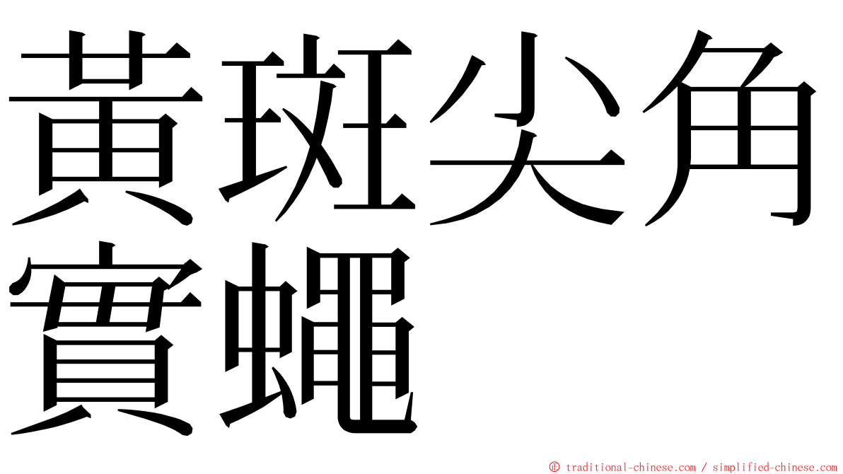 黃斑尖角實蠅 ming font