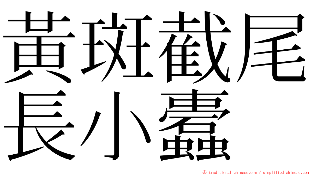 黃斑截尾長小蠹 ming font