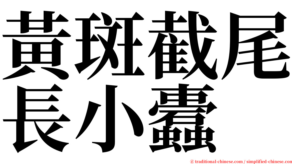 黃斑截尾長小蠹 serif font