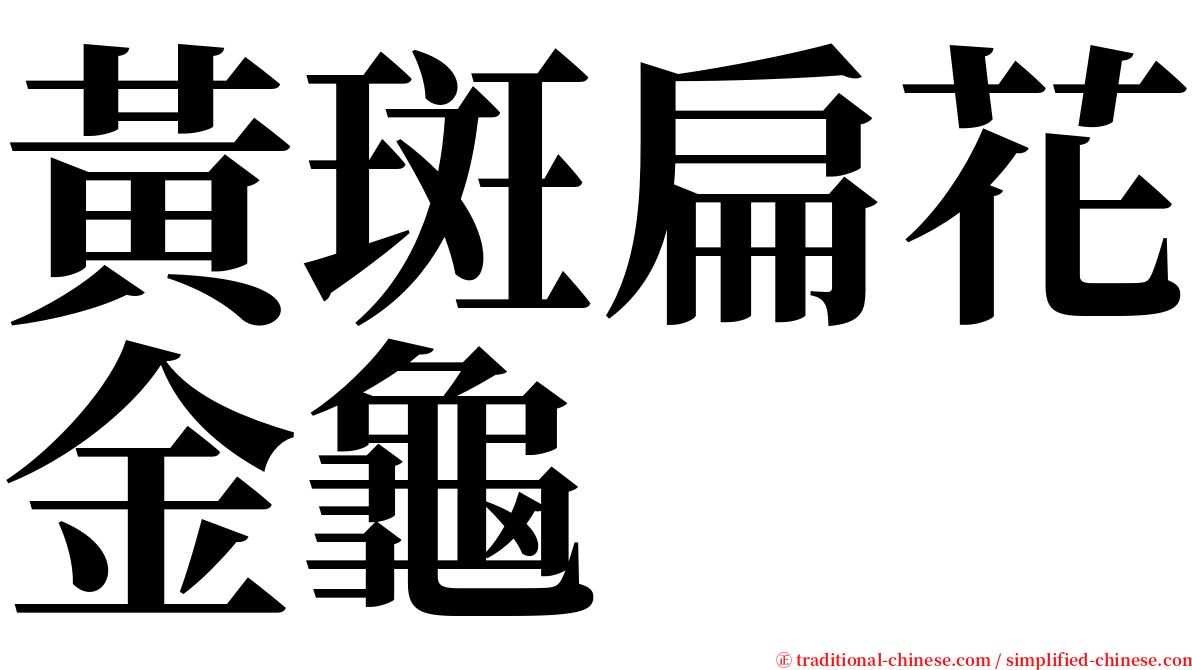 黃斑扁花金龜 serif font