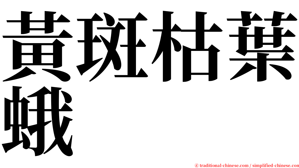 黃斑枯葉蛾 serif font