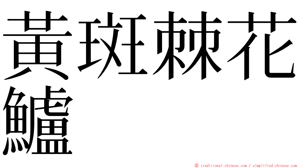 黃斑棘花鱸 ming font