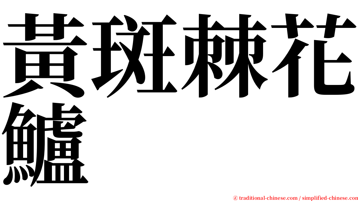 黃斑棘花鱸 serif font